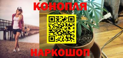 прущие грибы Ангарск